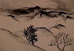 Dunes and trees