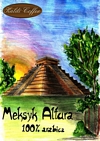 Meksyk Altura - pierwszy projekt